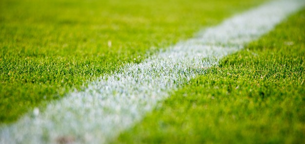 White line on the edge of a grass sports pitch.