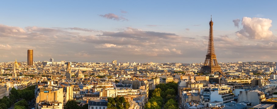 A view of paris from a high vantage point. The Eifel tower is the key focus of the image in the middle distance.