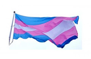 Transgenderflag 400 266 75 S C1